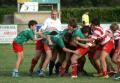 201201312007 zoom
