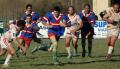 201203011784 zoom